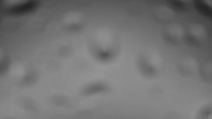 Ski areál SEVERKA v Dolní Lomné - Pohled na bazén - 23.2.2026 v 02:00 Ski areál SEVERKA v Dolní Lomné - Pohled na bazén - 23.2.2026 v 02:00