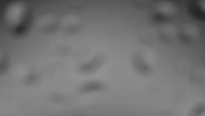 Ski areál SEVERKA v Dolní Lomné - Pohled na bazén - 23.2.2026 v 02:30