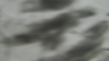 Ski areál SEVERKA v Dolní Lomné