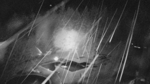 Ski areál SEVERKA v Dolní Lomné - Pohled na bazén - 23.7.2026 v 02:30 Ski areál SEVERKA v Dolní Lomné - Pohled na bazén - 23.7.2026 v 02:30