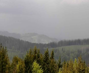 Snímek    22.5.2025 v 12:40