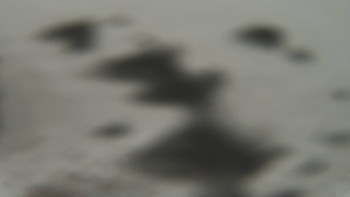 Snímek    23.11.2025 v 08:00