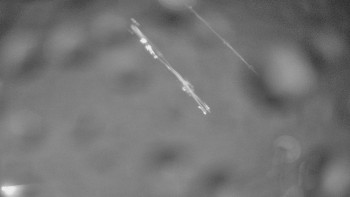 Ski areál SEVERKA v Dolní Lomné