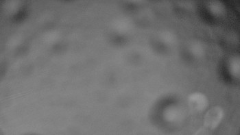 Ski areál SEVERKA v Dolní Lomné