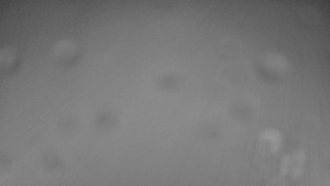 Ski areál SEVERKA v Dolní Lomné - Chata Severka - Dolní Lomná - 2.3.2026 v 01:30