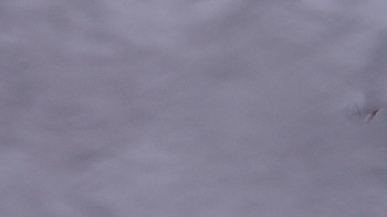 Ski areál SEVERKA v Dolní Lomné