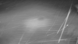 Ski areál SEVERKA v Dolní Lomné - Chata Severka - Dolní Lomná - 31.3.2026 v 02:30