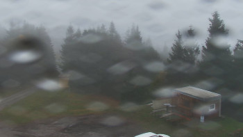 Snímek    3.11.2025 v 07:00