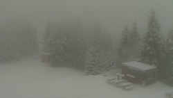 Chata Severka - Dolní Lomná