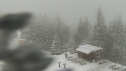 Chata Severka - Dolní Lomná