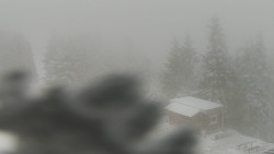 Chata Severka - Dolní Lomná