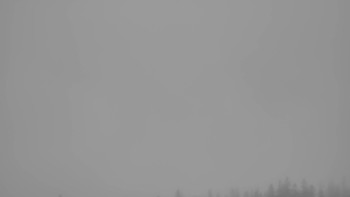 Snímek    17.9.2025 v 07:30