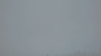 Snímek    17.9.2025 v 08:30