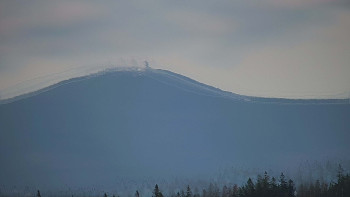 Snímek    1.11.2025 v 11:01