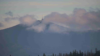 Snímek    4.11.2025 v 12:31