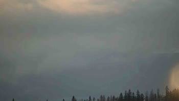 Snímek    18.11.2025 v 15:31