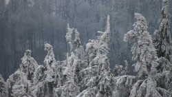 Chata Severka - Dolní Lomná