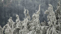 Chata Severka - Dolní Lomná
