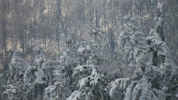 Chata Severka - Dolní Lomná