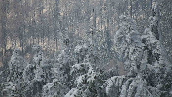 Ski areál SEVERKA v Dolní Lomné