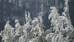 Chata Severka - Dolní Lomná