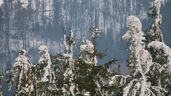 Ski areál SEVERKA v Dolní Lomné