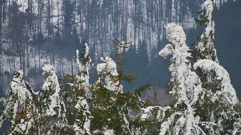 Ski areál SEVERKA v Dolní Lomné