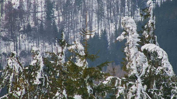 Ski areál SEVERKA v Dolní Lomné