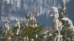 Chata Severka - Dolní Lomná