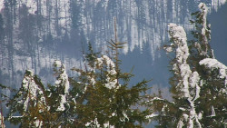 Chata Severka - Dolní Lomná