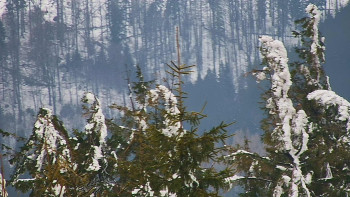 Ski areál SEVERKA v Dolní Lomné