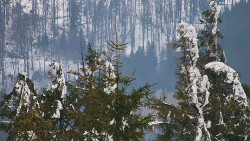 Chata Severka - Dolní Lomná