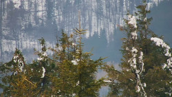 Chata Severka - Dolní Lomná