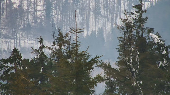 Ski areál SEVERKA v Dolní Lomné