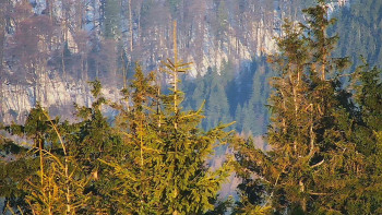 Ski areál SEVERKA v Dolní Lomné