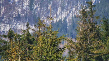 Ski areál SEVERKA v Dolní Lomné