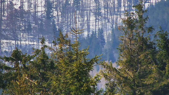 Ski areál SEVERKA v Dolní Lomné