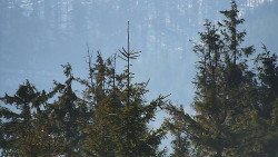 Chata Severka - Dolní Lomná