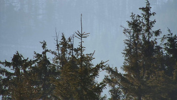 Ski areál SEVERKA v Dolní Lomné