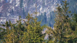 Chata Severka - Dolní Lomná