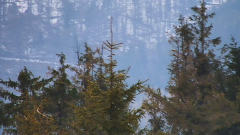 Ski areál SEVERKA v Dolní Lomné