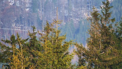 Chata Severka - Dolní Lomná