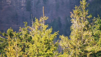 Ski areál SEVERKA v Dolní Lomné