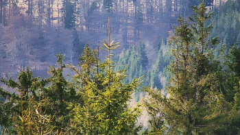 Ski areál SEVERKA v Dolní Lomné