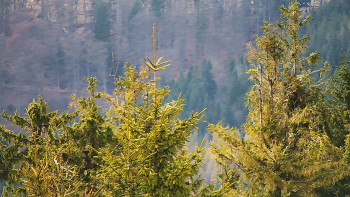 Ski areál SEVERKA v Dolní Lomné