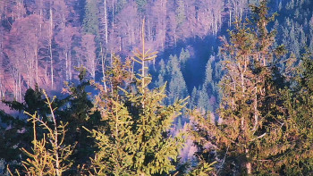 Ski areál SEVERKA v Dolní Lomné