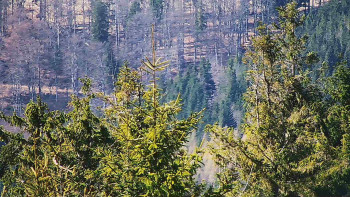 Ski areál SEVERKA v Dolní Lomné