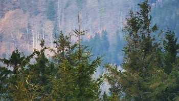 Ski areál SEVERKA v Dolní Lomné