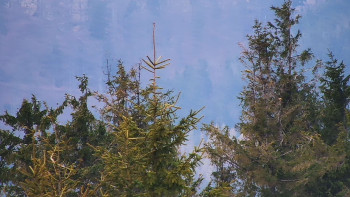 Ski areál SEVERKA v Dolní Lomné