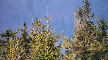 Ski areál SEVERKA v Dolní Lomné